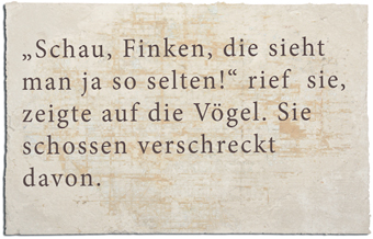 AlessiaLandschaft4